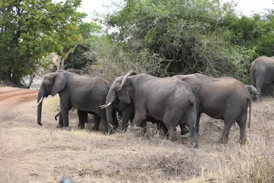 DSC_4090 (Large).JPG